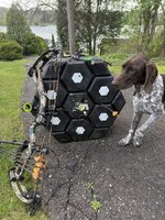 IMG_8304.jpeg