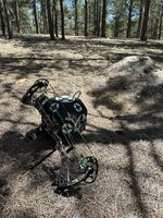 IMG_6204.jpeg