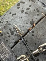 IMG_8305.jpeg