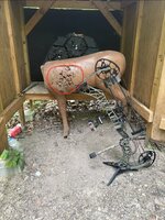 IMG_8334.jpeg