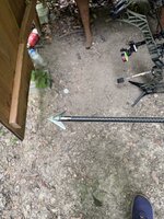 IMG_8335.jpeg