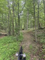 IMG_8331.jpeg