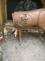 IMG_8333.jpeg
