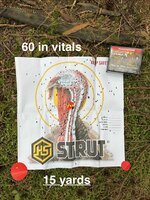 IMG_8713.jpeg