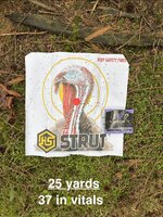 IMG_8716.jpeg