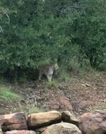 IMG_3665.jpeg