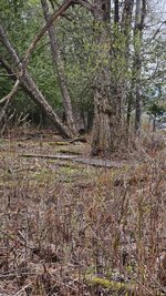 20260509_124639.jpg