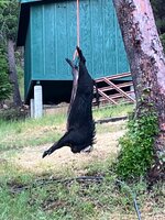 IMG_3923.jpeg