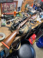 IMG_2315.jpeg