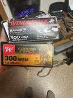 IMG_0343.jpeg