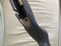 IMG_2226.jpeg