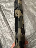 IMG_3069.jpeg