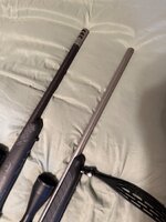 IMG_8479.jpeg