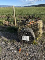 IMG_4296.jpeg