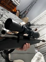IMG_1198.jpeg IMG_1198.jpeg