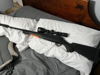 IMG_1191.jpeg IMG_1191.jpeg