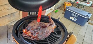 20260509_124446.jpg