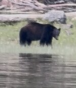 IMG_5413.jpeg