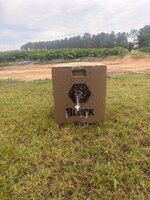IMG_0331.jpeg
