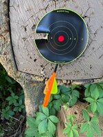 IMG_6437.jpeg