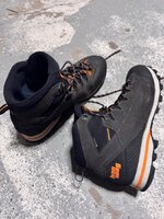 IMG_4173.jpeg