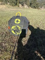 IMG_7883.jpeg