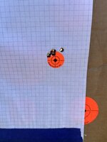 IMG_6238.jpeg