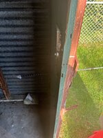 IMG_2793.jpeg