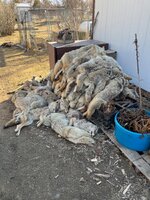 IMG_3321.jpeg