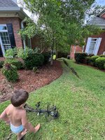 IMG_4729.jpeg