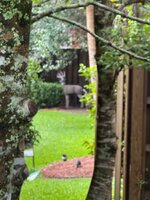 IMG_4728.jpeg