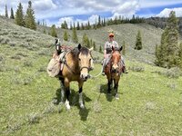 IMG_5974.jpeg