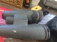 IMG_134.jpeg