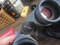 IMG_135.jpeg