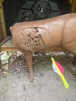 IMG_8336.jpeg