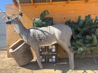 IMG_3419.jpeg
