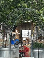 IMG_7947.jpeg