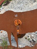 IMG_2309.jpeg