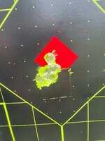 IMG_3606.jpeg