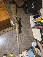 IMG_2985.jpeg