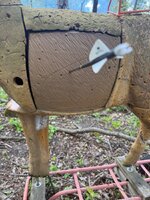 IMG_8419.jpeg