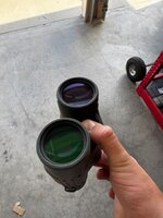 IMG_7393.jpeg