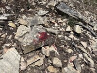 IMG_1425.jpeg