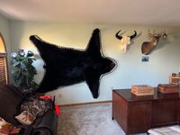 IMG_6283.jpeg