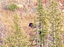 IMG_7362.jpeg