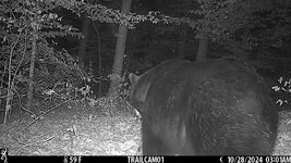 IMG_0060.jpeg