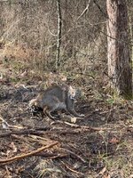 IMG_2538.jpeg