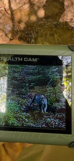 IMG_3691.jpeg