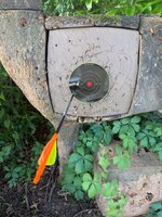 IMG_6439.jpeg
