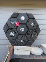 IMG_9332.jpeg